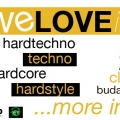 WE LOVE IT HARD - Electronic Music Festival