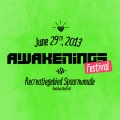 Awakenings Festival 2013